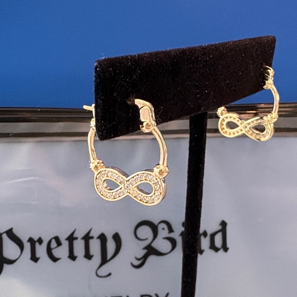 Pretty Bird Jewelry Jewelry - Pretty Bird Gold Crystal Infinity Hoop Earrings